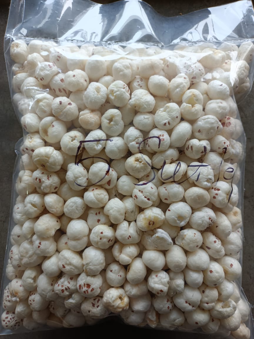 Raw Fox Nut ( 5 Sutta Hand Picked 15mm)