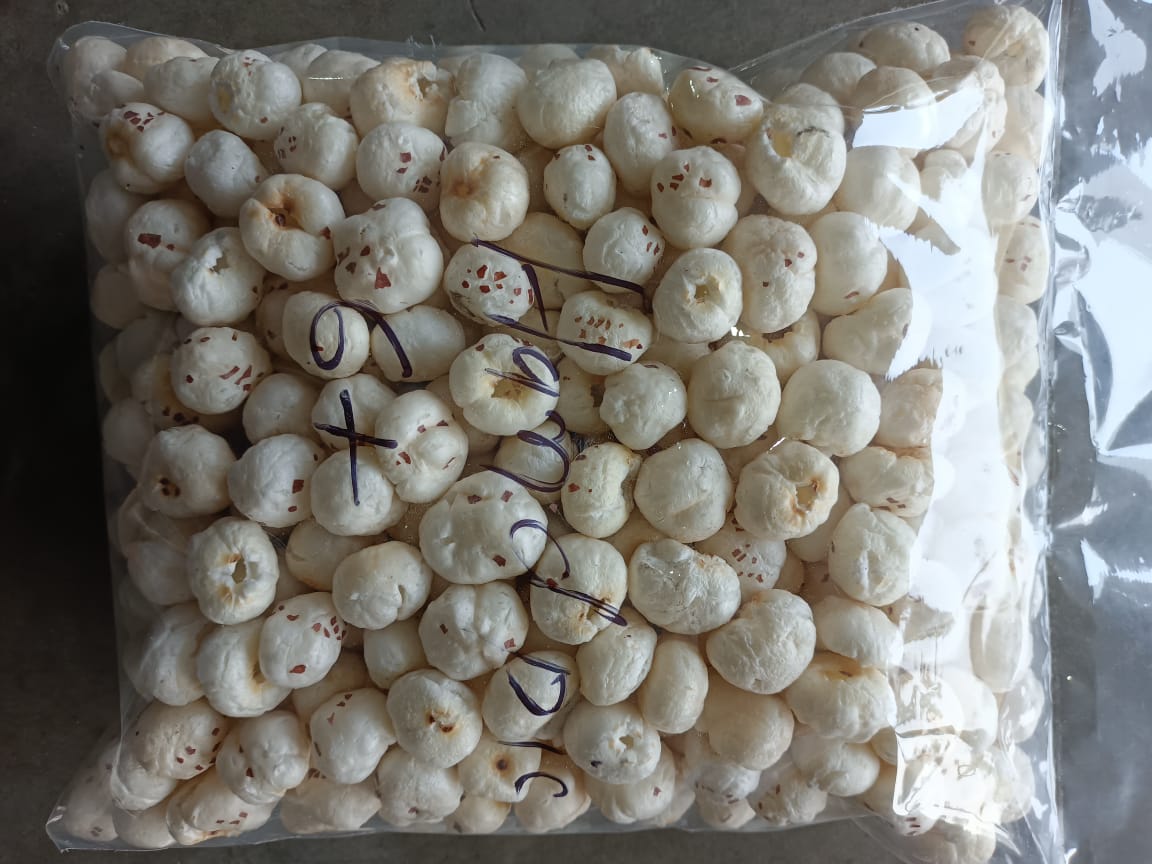 Raw Fox Nut ( 6+ Sutta Hand Picked 18 to 21 mm)